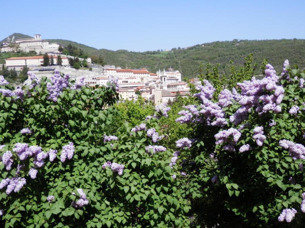 Hotel Villa Stella Cascia Buitenkant foto